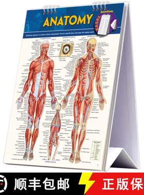 预订 Anatomy Easel Book: A Quickstudy Reference Tool [9781423225836]