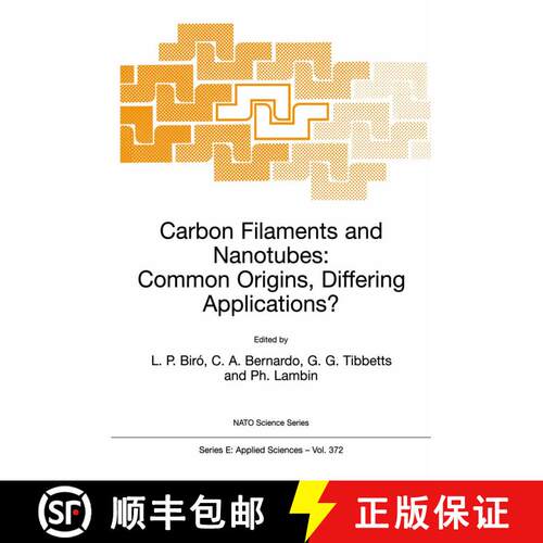 【3-4周达】Carbon Filaments and Nanotubes: Common Origins, Differing Applications?: - Carbon Filament... [9780792369080]