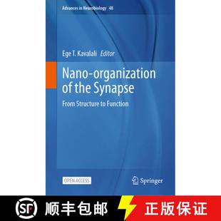 【3-4周达】Nano-organization of the Synapse: From Structure to Function [9783032125934]