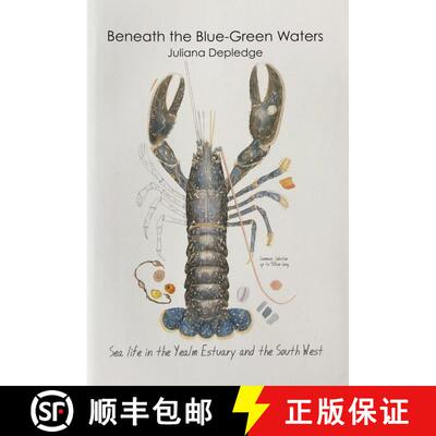预订 Beneath the Blue-Green Waters [9781739811600]