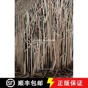 9783775754934 Doris Salcedo