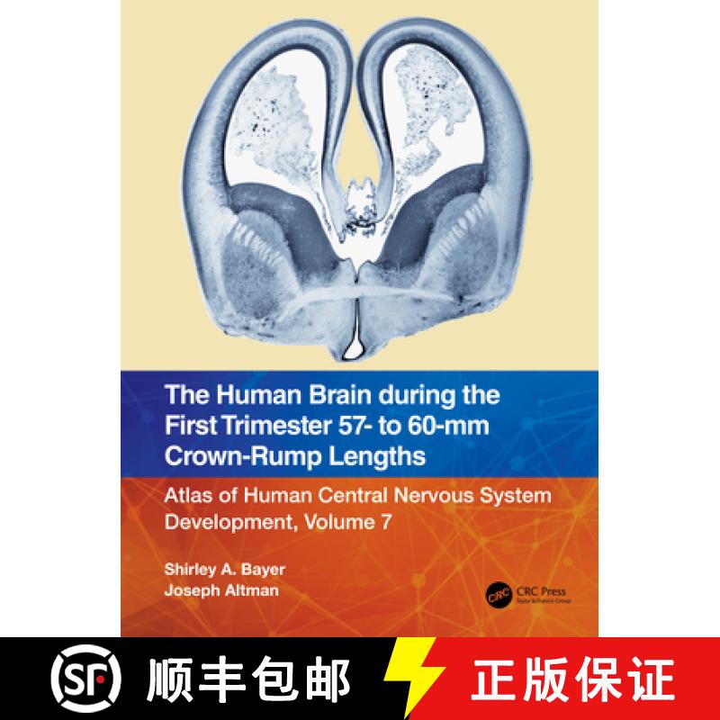 【3-4周达】The Human Brain during the First Trimester 57- to 60-mm Crown-Rump Lengths: Atlas of Human... [9781032185668]