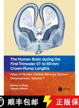 【3-4周达】The Human Brain during the First Trimester 57- to 60-mm Crown-Rump Lengths: Atlas of Human... [9781032185668]