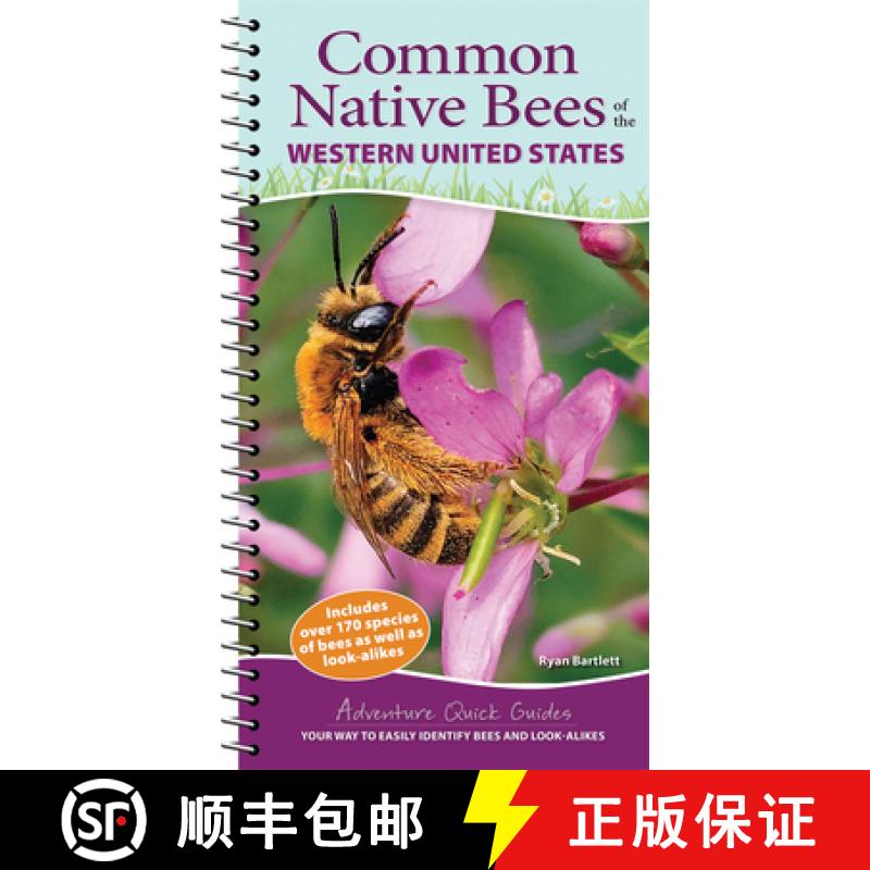 【3-4周达】Common Native Bees of the Western United States : Your Way to Easily Identify Bees and Loo... [9781647553630]