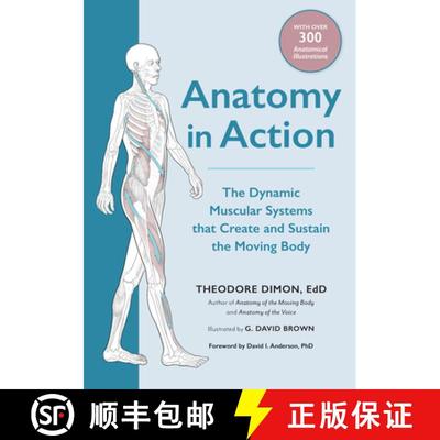 【3-4周达】Anatomy in Action: The Dynamic Muscular Systems That Create and Sustain the Moving Body [9781623175801]