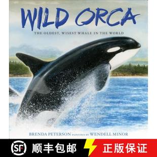 The Orca 4周達(dá) World Whale Wisest the 9781250110695 Wild Oldest