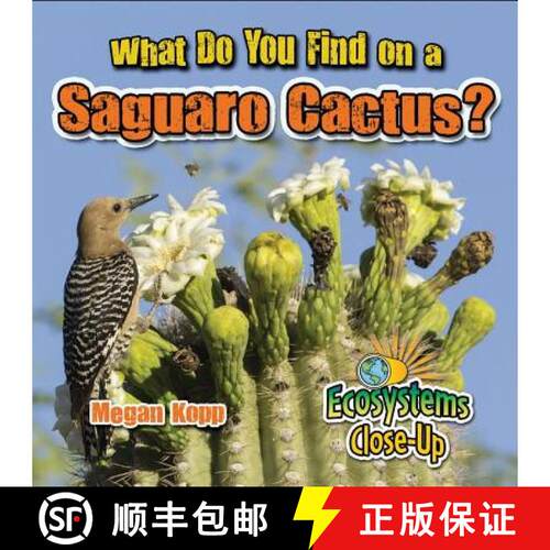 【3-4周达】精装 What Do You Find on a Saguaro Cactus? [9780778722656]