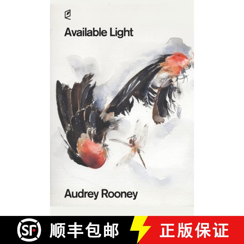 【3-4周达】Available Light [9781936628520]