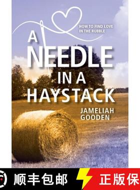 预订 A Needle in a Haystack: How to Find Love in the Rubble [9781954614710]