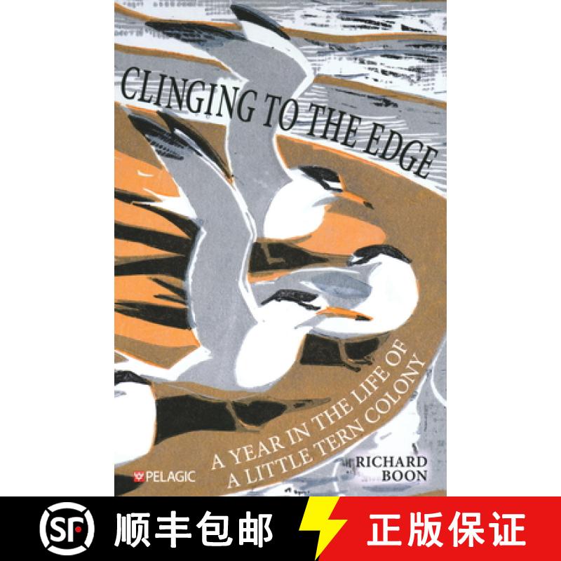 【2-3周达】Clinging to the Edge : A Year in the Life of a Little Tern Colony [9781784274894]