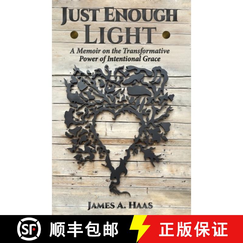 【3-4周达】Just Enough Light: A Memoir on the Transformative Power of Intentional Grace [9781662937590]