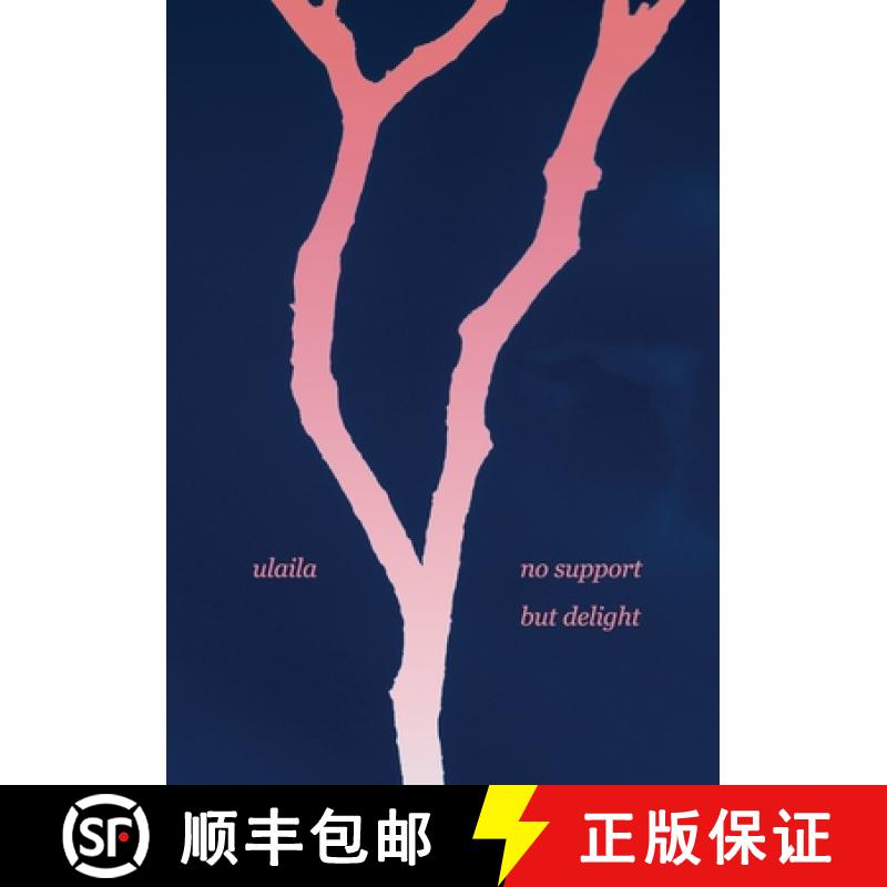 【3-4周达】no support but delight [9783347136274]