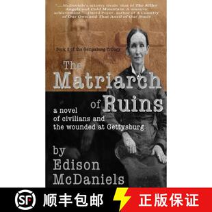 Wounded 4周达 Matriarch the and The Civilians Novel 9781937997663 Gettysburg Ruins