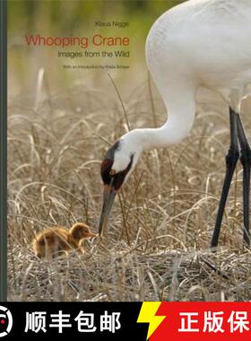 预订 Whooping Crane: Images from the Wild [9781603442091]