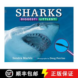 Littlest 4周达 Biggest 9781590788738 Sharks