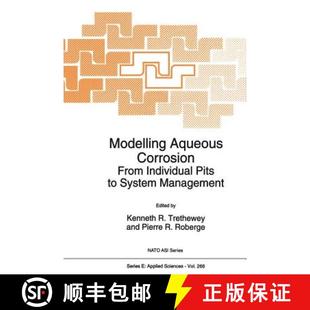 Individual Corrosion Pits Management Modelling System 4周达 9789401045131 Aqueous From