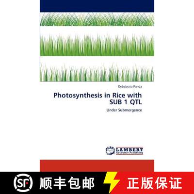 预订 Photosynthesis in Rice with Sub 1 Qtl [9783848440900]