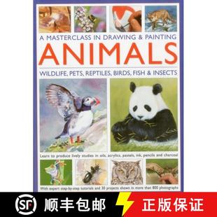 Drawing Birds Fish Reptiles Painting Insects Wildlife Masterclass Pets 4周达 9780754820598 Animals