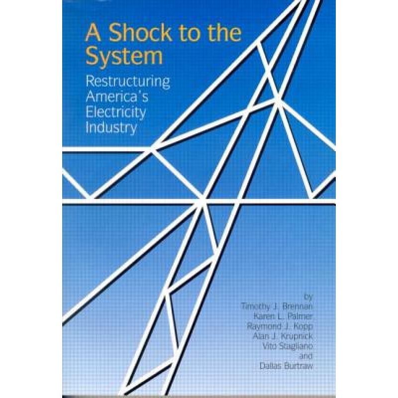 【4周达】A Shock to the System : Restructuring America's Electricity Industry [9780915707805] 书籍/杂志/报纸 科学技术类原版书 原图主图