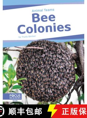 【3-4周达】Animal Teams: Bee Colonies [9798889982463]