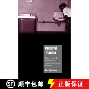 Trauma the Cultural Identity 9780521004374 American Slavery 4周达 Formation and ... African