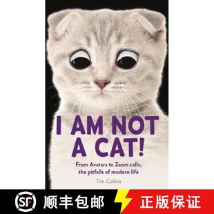 Pitfalls the Modern Not From Cat Calls 9781789293869 Life 4周达 Zoom Avatars