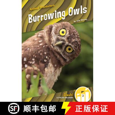 【3-4周达】精装 Burrowing Owls [9781098228330]
