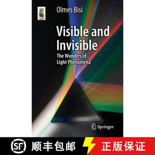 Light 9783319098241 Visible The Wonders Invisible 4周达 and Phenomena