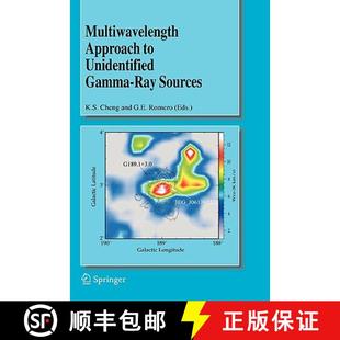 Unidentified Gamma Multiwavelength the Workshop Ray Natur... Approach Second 4周达 9781402032141 Sources