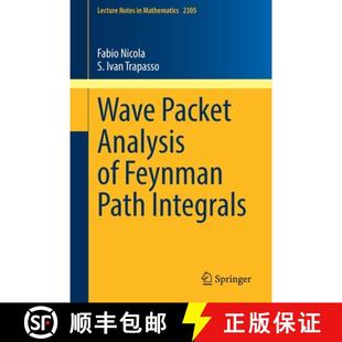 9783031061851 4周达 Integrals Path Feynman Analysis Packet Wave