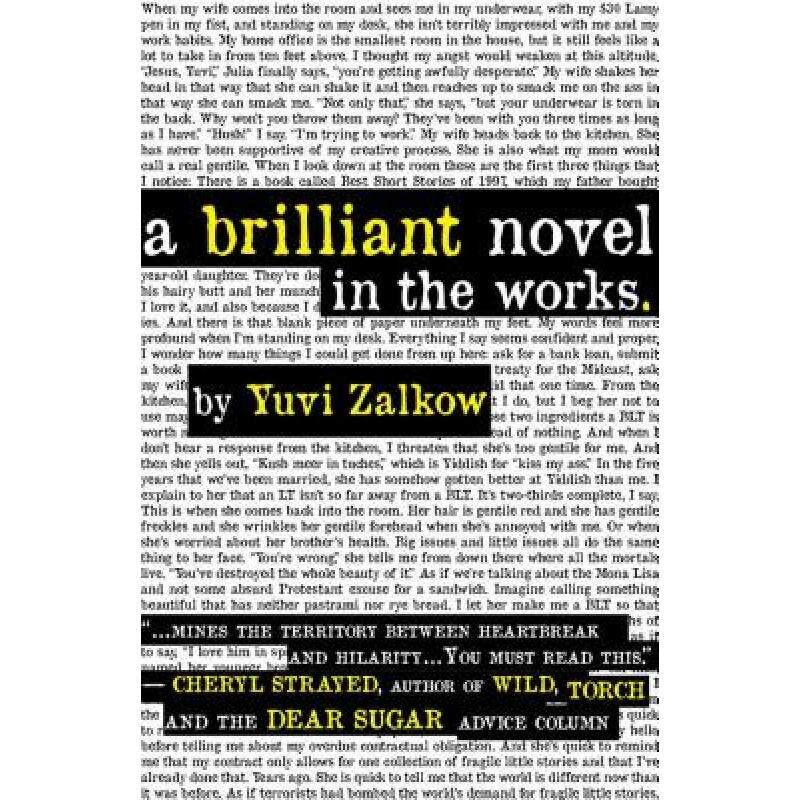 预订 a brilliant novel in the works [9781849821650]