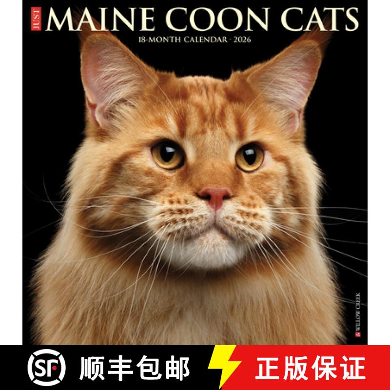 【3-4周达】Maine Coon Cats 2026 12 X 12 Wall Calendar [9781549251849]