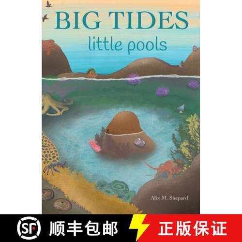 【3-4周达】精装 Big Tides Little Pools [9798990166011]