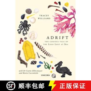 Adrift 9781913491192 Sea the 3周达 Lego Curious The Tale Lost
