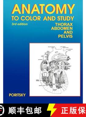 【3-4周达】Anatomy to Color and Study Thorax Third Edition [9780983578437]