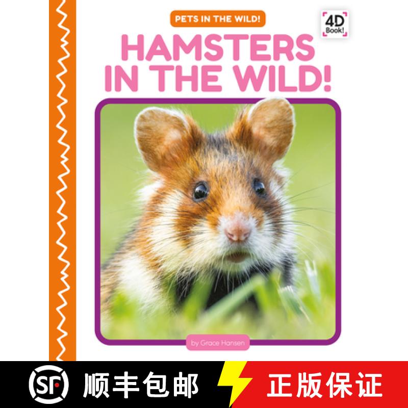 【3-4周达】Hamsters in the Wild! [9781098246143]