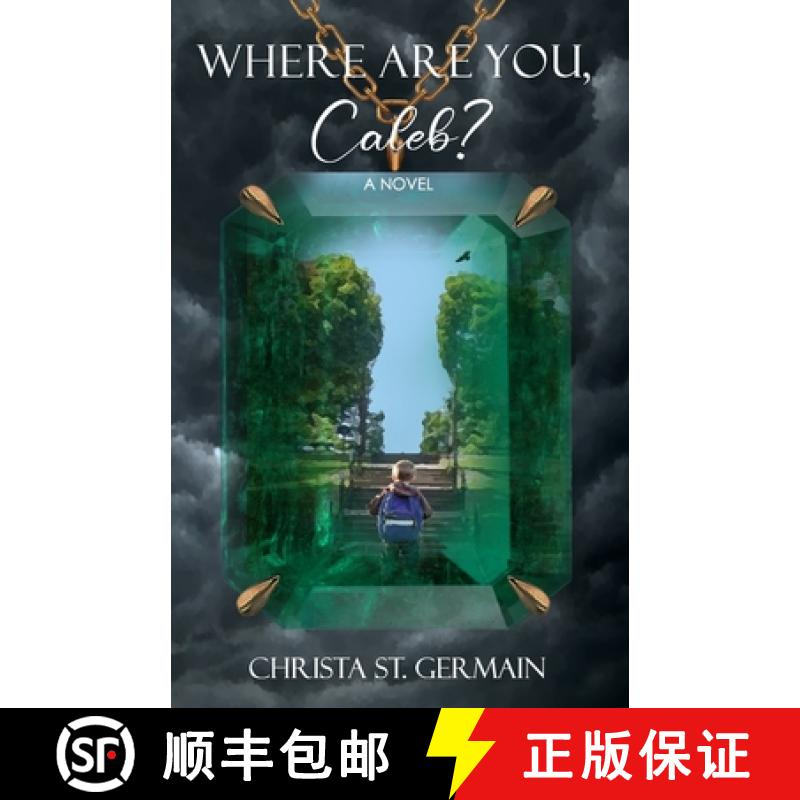 【3-4周达】Where Are You, Caleb?: A Novel [9798990643628]