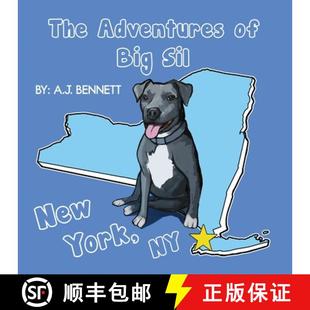 Adventures Sil The 9780996735209 Children 4周达 York New Big Book