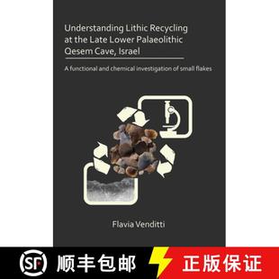 Israel the Recycling Understanding Cave Late Functi... Palaeolithic Lithic Qesem 3周达 9781789691016 Lower