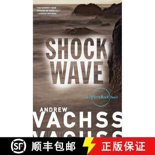 【3-4周达】Shockwave: An Aftershock Novel [9780804168878]