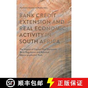 Impact The Capital Extension Economic Real Africa and 9783319828527 Fl... Bank 4周达 South Credit Activity