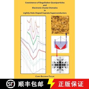 Cluster Hole Bogoliubov 3周达 Coexistence Electronic 9780578005454 Do... Lightly Quasiparticles and Domains
