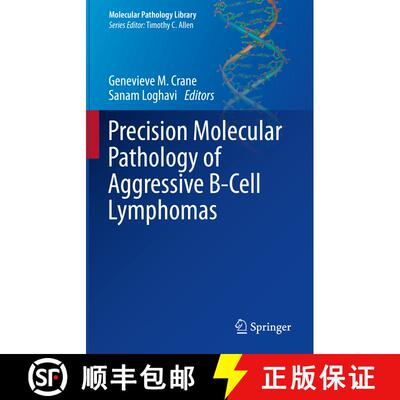 【3-4周达】Precision Molecular Pathology of Aggressive B-Cell Lymphomas [9783031468414]