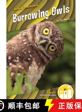 预订 Burrowing Owls [9781098228330]