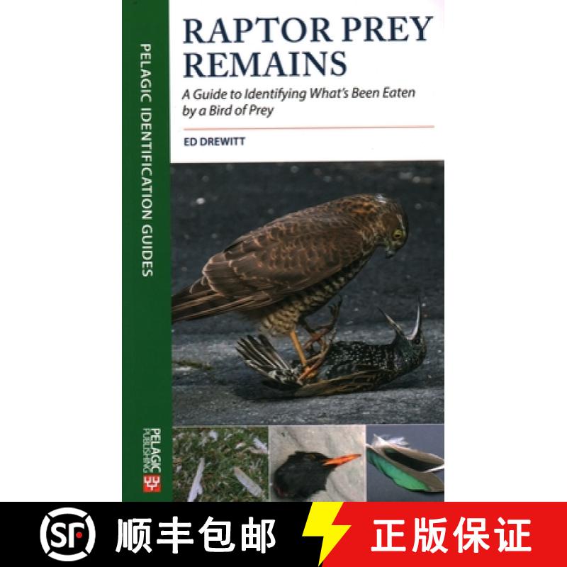 【3-4周达】Raptor Prey Remains : A Guide to Identifying What's Been Eaten by a Bird of Prey [9781784272074]