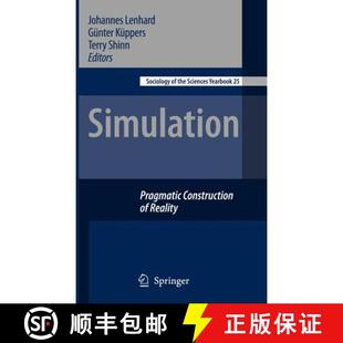 Pragmatic Constructions 9781402053740 Reality 4周达 Simulation