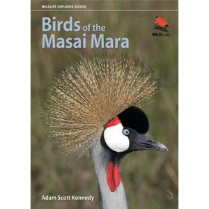 【4周达】玛莎玛菈的鸟类 Birds of the Masai Mara (Wildlife Explorer Guides) [9780691155944]