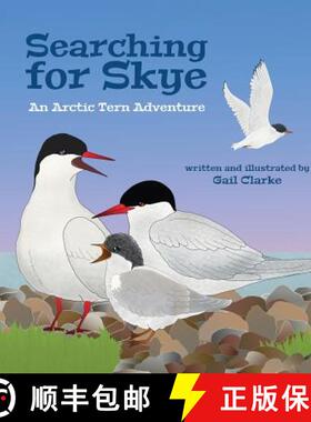 预订 Searching for Skye: An Arctic Tern Adventure [9781912406180]