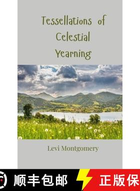 预订 Tessellations of Celestial Yearning [9783690806763]