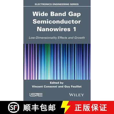 【3-4周达】Wide Band Gap Semiconductor Nanowires For Optical Devices: Low-Dimensionality Related Effe... [9781848215979]